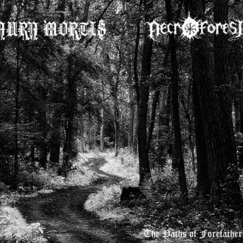 Aura Mortis : The Paths of Forefathers